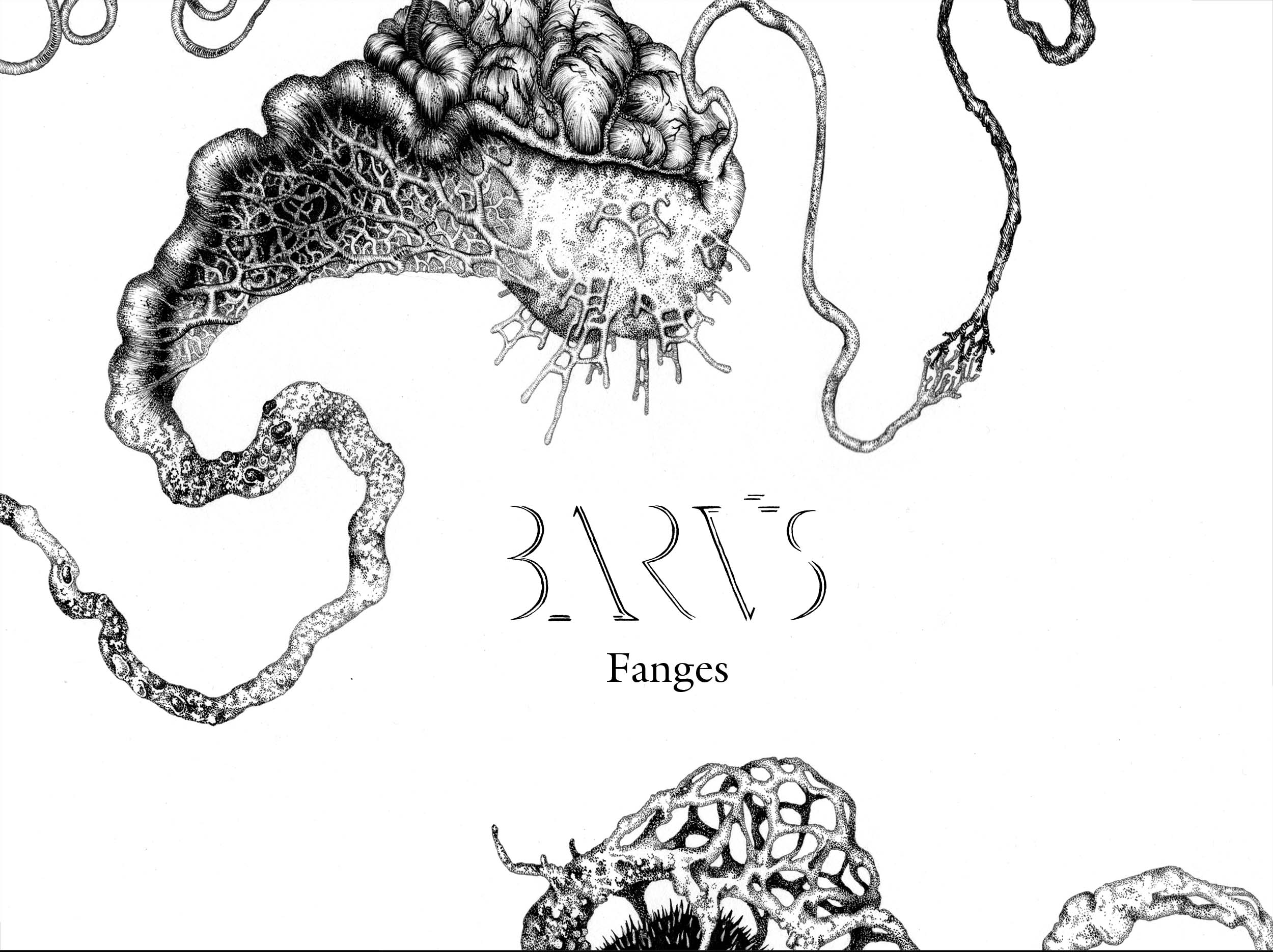 barus-fanges-cover